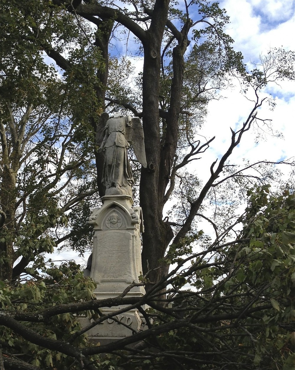 The Lloyd Angel, right after it was hit and shattered by a tree branch, courtesy of Hurricane Sandy.