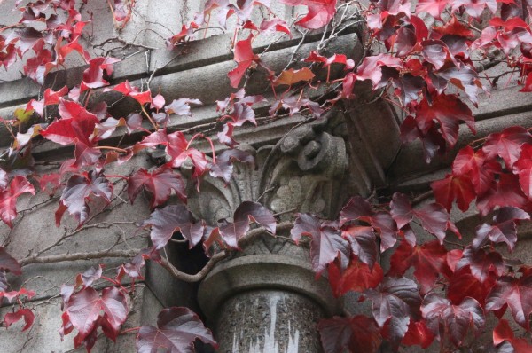 Column, capital, and vine on the side of a tomb.