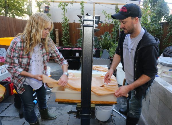 green-wood cider making