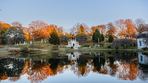 niblo grave at golden hour