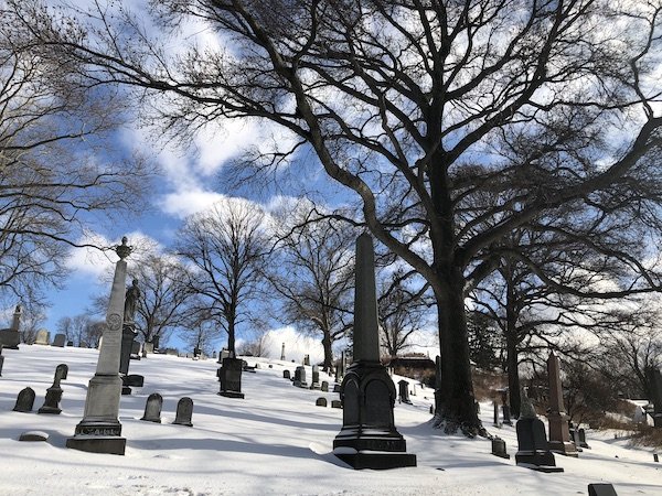 snow at green-wood