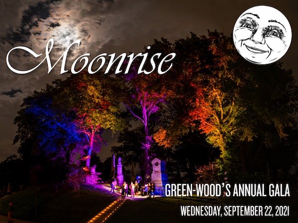 moonrise flyer