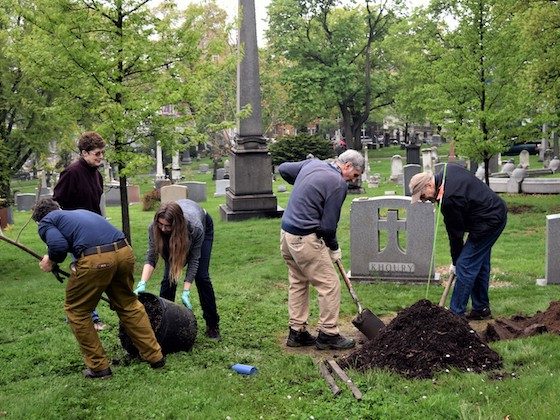 arbor day group working