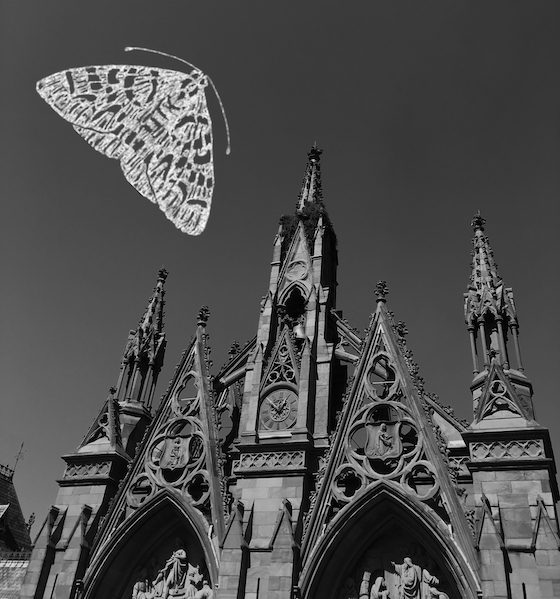 moth log and arches composite