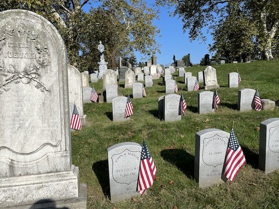 veteran graves with flags