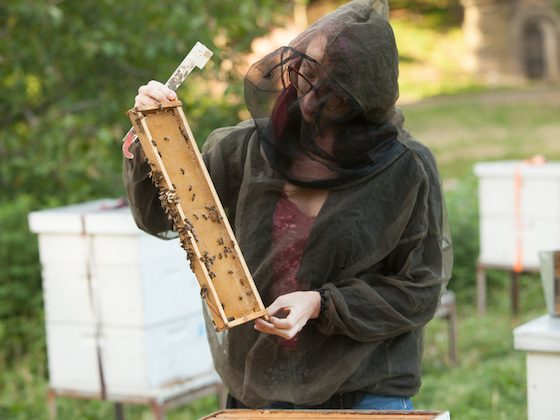 beekeeper with hives