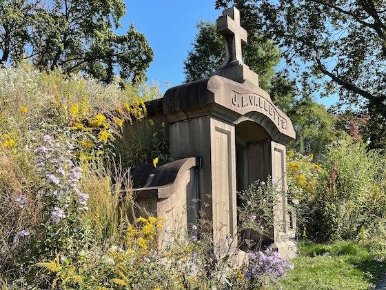 flora around mausoleum