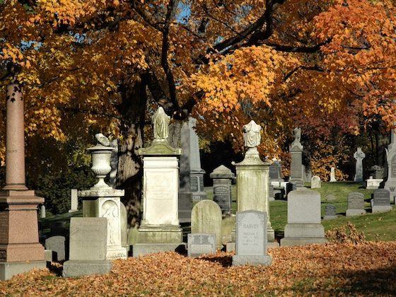 fall cemetery monuments in leaves