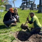 tree planting group