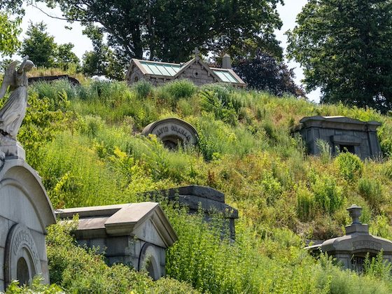 cemetery hillside landscaping