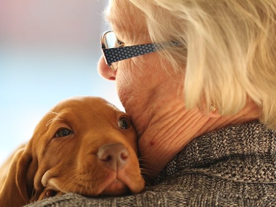 pet snuggling human