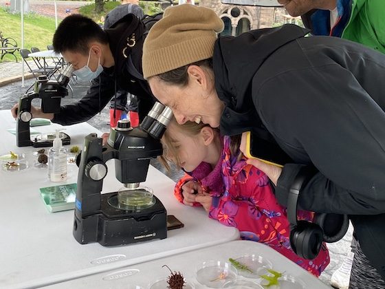 family microscope station